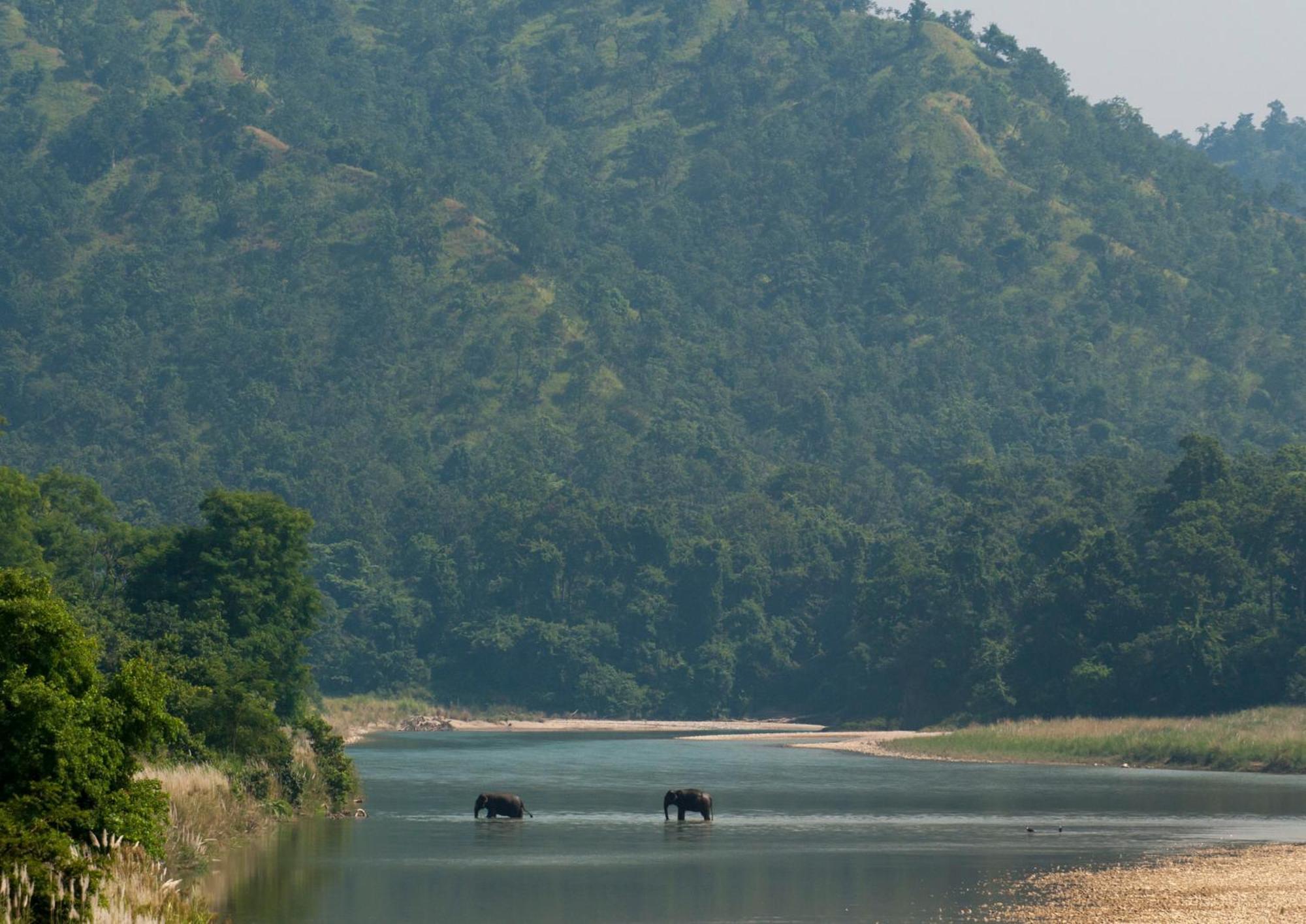 Tiger Tops Karnali Lodge Bardiya Exteriér fotografie